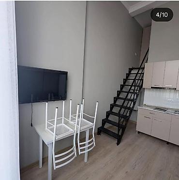 Продажа квартир: 1 комната, 28 м², Элитка, 4 этаж, Евроремонт — 4