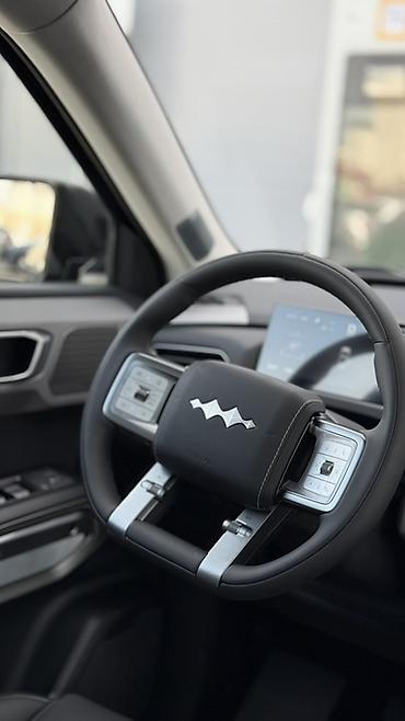 byd leopard 3: BYD FangChengBao Leopard 3: 2026 г., Автомат, Электромобиль, Кроссовер — 9