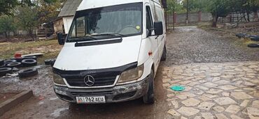 кузовшик спринтер: Mercedes-Benz Sprinter: 2004 г., 2.9 л, Механика, Дизель, Бус