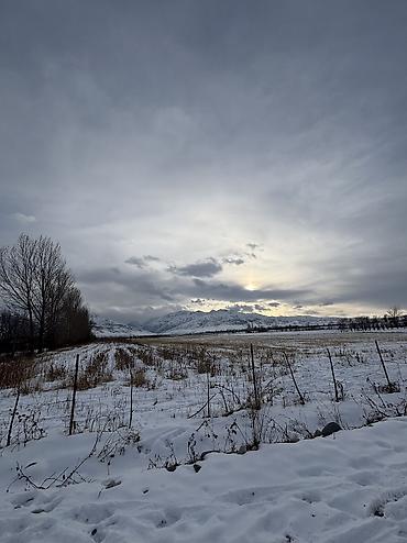 Продажа участков: 5 соток, Для строительства, Красная книга — 2