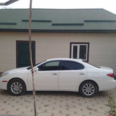 на опель вектра а: Toyota Windom: 2002 г., 3 л, Автомат, Бензин, Седан