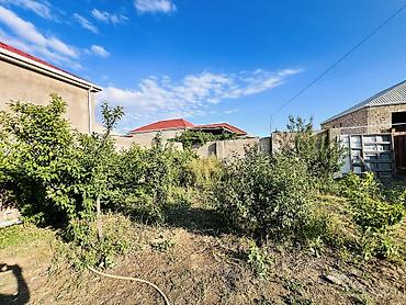 Həyət evləri və villaların satışı: 3 otaqlı, 100 kv. m, Kredit yoxdur, Orta təmir -da lalafo.az — 9 Həyət evləri və villaların satışı: 3 otaqlı, 100 kv. m, Kredit yoxdur, Orta təmir — 9