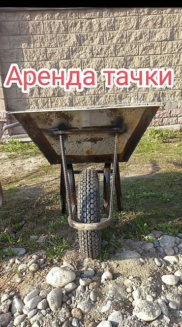 кыш: Сдам в аренду звоните — 2