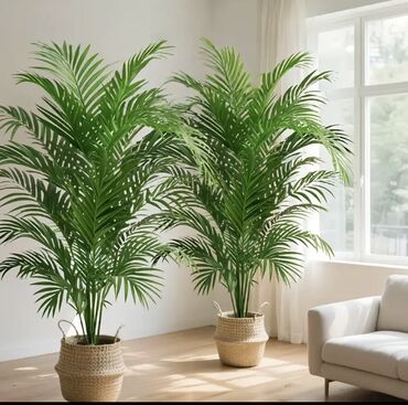 Süni güllər: 🌸 İstədiyiniz dibçəyi, istədiyiniz ölçüdə yığırıq! 🏡 Evlər, ofislər -da lalafo.az — 10 Süni güllər: 🌸 İstədiyiniz dibçəyi, istədiyiniz ölçüdə yığırıq! 🏡 Evlər, ofislər — 10