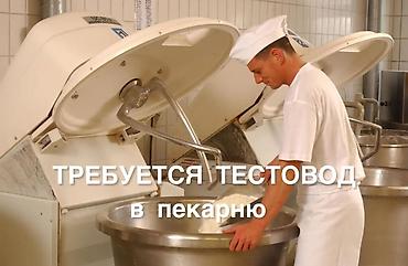 вакансия тестировщик: Требуются ТЕСТОВОД в пекарню с опытом работы. Это не разнорабочий! — 1