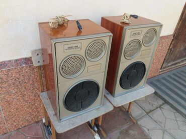 Dinamiklər və kolonkalar: Radiotehnika Kolonka, Növ - Akustik