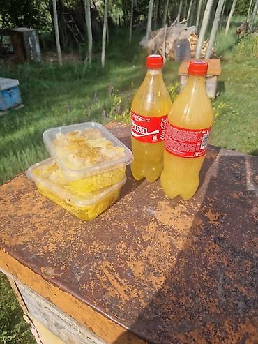 школьници слив: Мёд с пасеки и соты - Натуральный пчелиный продукт из собственной — 1