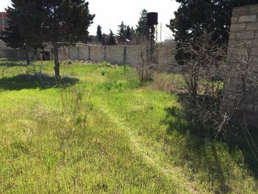 mingəcevir torpaq: 15 sot, Kupça (Çıxarış)