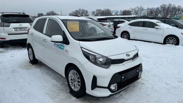 шторки: Kia Morning: 2020 г., 1 л, Автомат, Бензин, Хэтчбэк