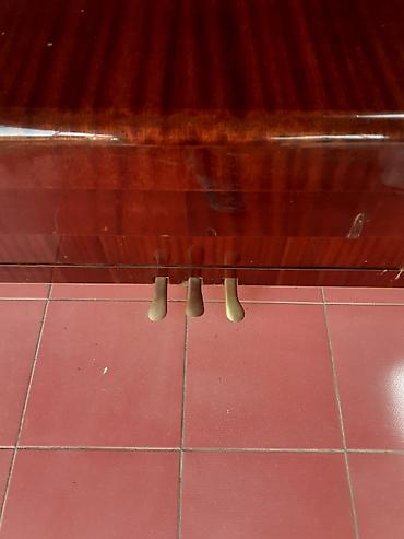 Pianolar: Piano, Belarus, Akustik — 10