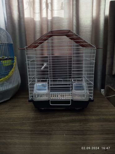 hamster qefes: Qəfəs satılır heç işlənməyib. ölçülər en 25 uzunluq 30 hündürlük 35