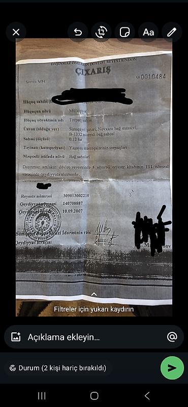 Tinglər: Meyvə bağı üçün tinglər Təsvir: - Şəkillərdə günəşli sahədə əkilmiş — 13