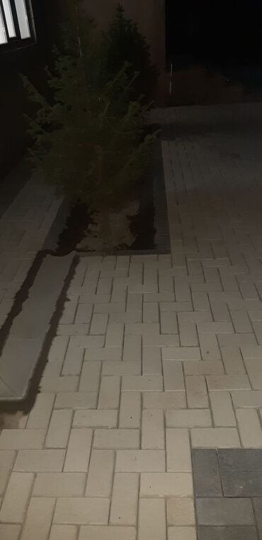 Евробрусчатка: Баардык турун коёбуз келишим баада стажы бар 7 жыл — 17