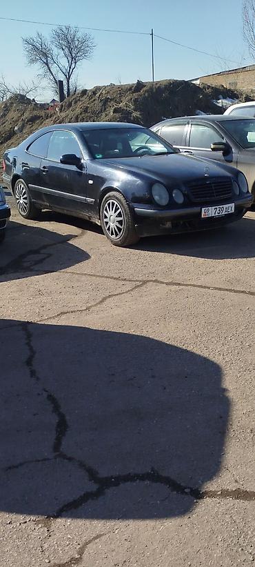банан цлс: Mercedes-Benz CLK-Class: 1999 г., 2.3 л, Автомат, Бензин, Купе — 5