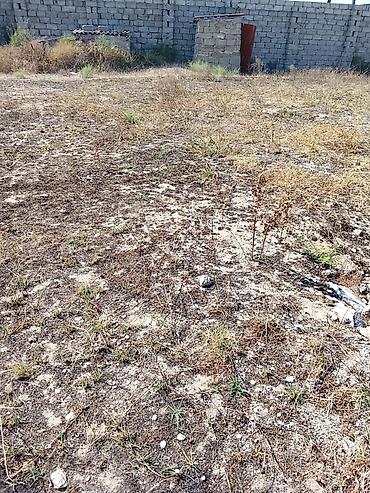 Torpaq: 5000 sot, Tikinti, Mülkiyyətçi, Bələdiyyə — 4