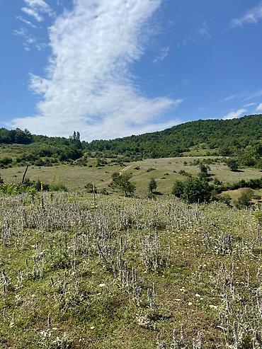Torpaq sahələrinin satışı: 12 sot, Tikinti, Mülkiyyətçi, Kupça (Çıxarış), Bələdiyyə, Texniki pasport — 8