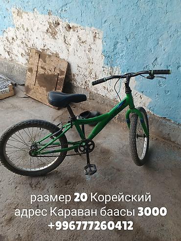 айнек рамка: Тоо велосипеддери — 2