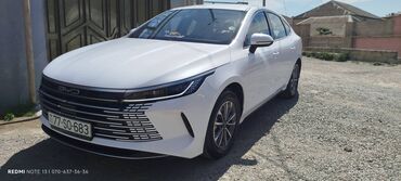 BYD: BYD : 1.5 l | 2024 il 8500 km Sedan