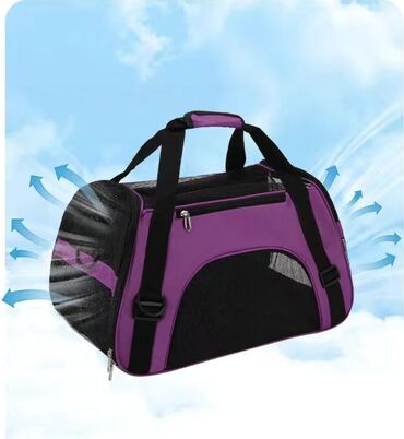 Зоотовары: Зоотовары.
Игрушки для животных — 18