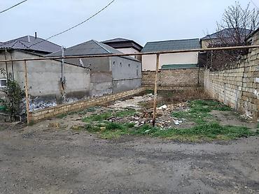 ha: Tikinti, Kupça (Çıxarış) — 2