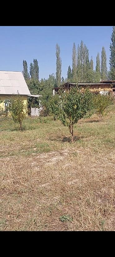 Продажа участков: 30 соток — 9