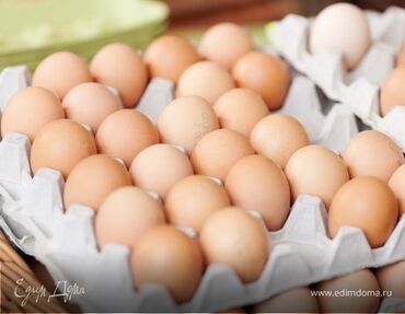 яйца кур: ЯИЦА!!!ТУКУМ!!!ОПТОМ доставка есть по городу Бишкек минимальный заказ