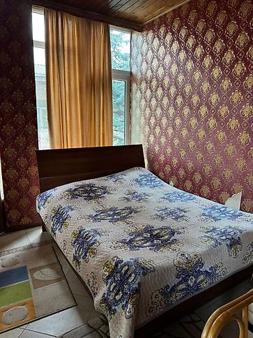 Продажа коттеджей и домов: Срочно! Продается два коттеджа в пансионате Солнышко, на берегу озера — 17