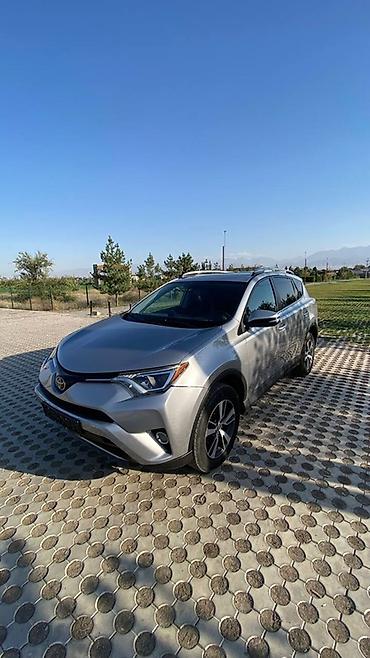 шнитцер диски: Toyota RAV4: 2018 г., 2.5 л, Автомат, Бензин, Кроссовер — 1