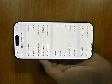 iphone cs: IPhone 16 Pro, Б/у, 256 ГБ, Серебристый, Чехол, 92 % — 4