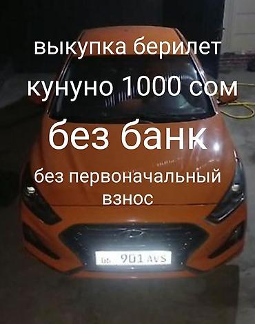 sonata orange: Hyundai Sonata: 2018 г., 2 л, Автомат, Газ, Седан — 1