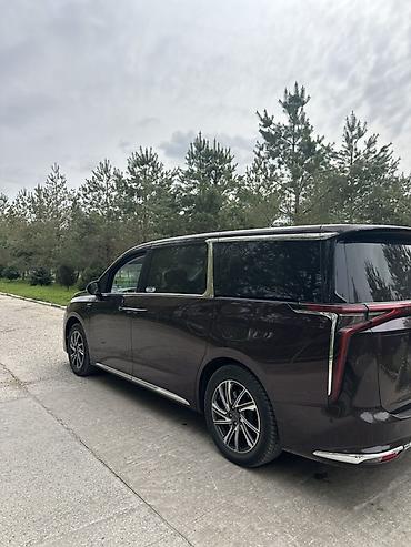 LDV: LDV : 2024 г., 2 л, Бензин, Минивэн — 2