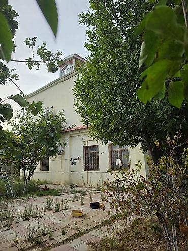 berdede ev: 8 otaq, 300 kv. m, Orta təmir — 2