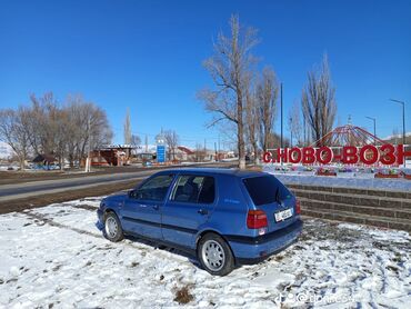 авто в рассочку: Volkswagen Golf: 1994 г., 1.6 л, Механика, Бензин, Хэтчбэк