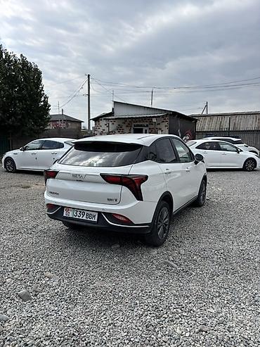 jac js6: BYD : 2022 г., Электромобиль, Хэтчбэк — 2
