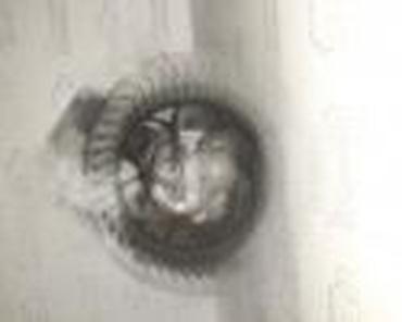 tepih crni: VENTILATOR KABINE ZA VOLKSWAGEN POLO OD 1996. DO 2007. GOD. | — 5