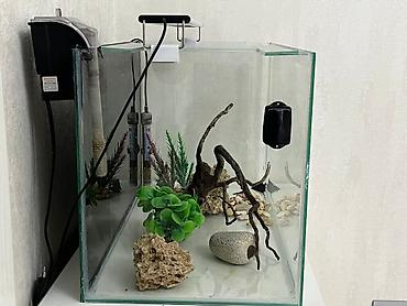 kreditle heyvan satisi: Akvarium 70sm.Filter isidici işıq suse silen,tebii qaya,Ağac.Sunki — 2