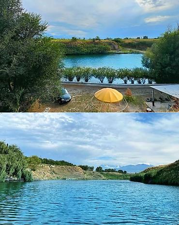 Продажа сельхоз предприятий: Рыбное хозяйство, 400 соток, Действующий, С оборудованием, Электричество, Скважина, Холодная вода — 2