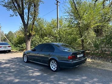авто толщиномер: BMW 5 series: 2000 г., 3 л, Автомат, Бензин, Седан — 2
