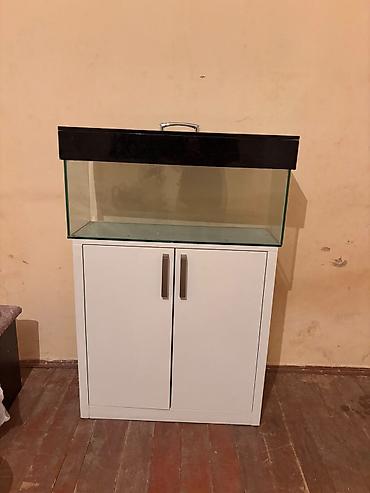 akvarium baliqlari: Dördbucaq akvarium, Boş, 80 l — 2