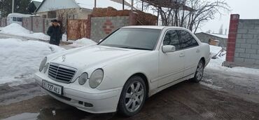 вариант машины: Mercedes-Benz 220: 2001 г., 2.2 л, Механика, Дизель, Седан