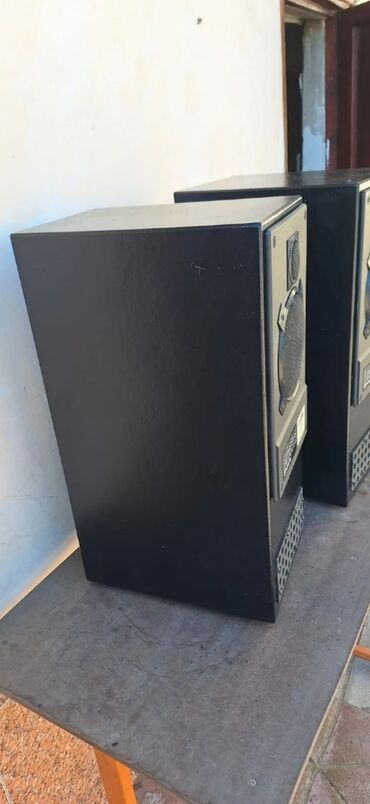 Dinamiklər və kolonkalar: Akustik sistem eksküliziv labirint qutuda sony dinamiklə və tviterlə — 7