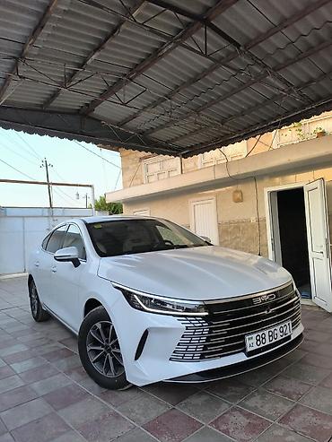 prado satisi: BYD Qin Plus: 1.5 l | 2025 il 19000 km Sedan — 1