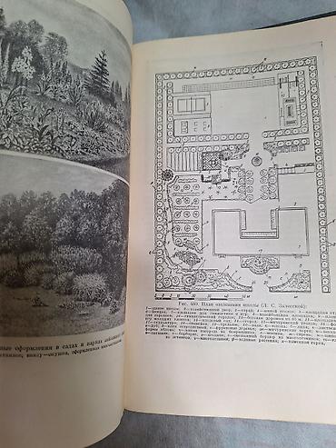 редкие книги: ЦВЕТОВОДСТВО. Антикварная книга Г. Киселев Москва 1952 Тираж 75.000 — 7