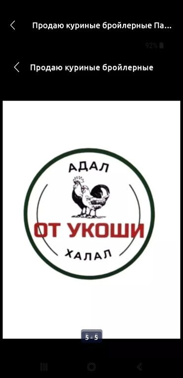 замороженная курица: Бройлер :, Более 10 кг