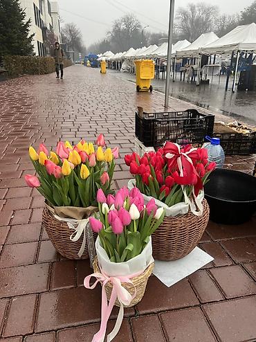 Другие услуги в сфере красоты и здоровья: Тюльпаны по 100 сом 
Оформим, доставим во время ☺️ 
От 200 шт 90 сом — 19