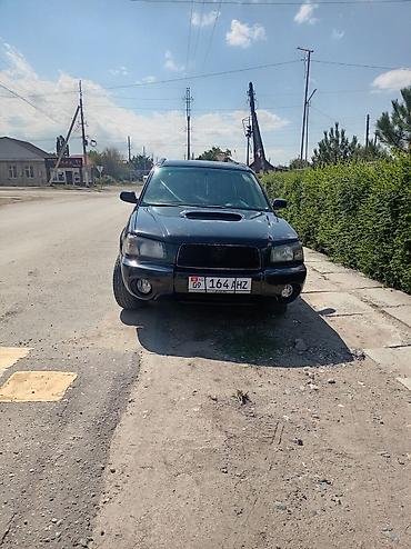 айнек авто: Subaru Forester: 2003 г., 2 л, Автомат, Кроссовер — 1