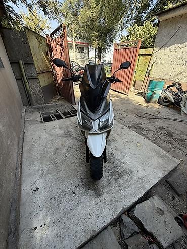 телескопический погрузчик: Скутер Benelli 180 куб новый мотор тикеры Benelli на кожухе вариатора) — 3