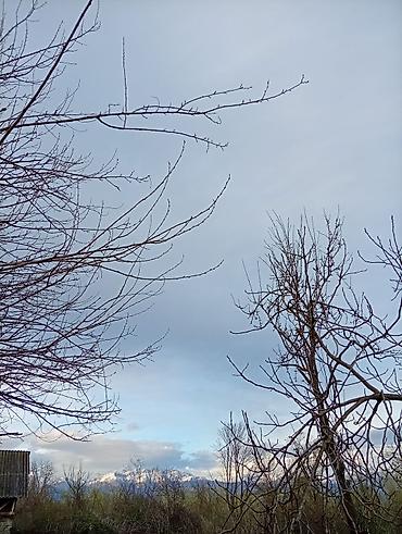 Torpaq sahələrinin satışı: 38 sot, Tikinti, Mülkiyyətçi, Kupça (Çıxarış) — 21