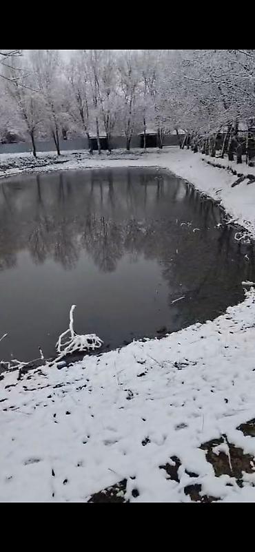 Bağ evlərinin satışı: Qəbələ, 16000 kv. m, 3 otaqlı, Hovuzsuz, İnternet — 14