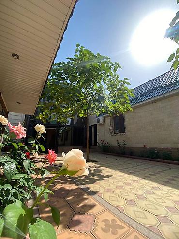 Продажа домов: Дом, 287 м², 8 комнат, Собственник, Евроремонт — 10